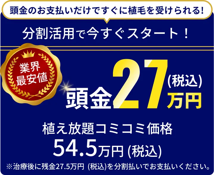 頭金のお支払いだけですぐに植毛を受けられる！分割活用で今すぐスタート！植え放題コミコミ価格54.5万円 (税込） 頭金27万円(税込)